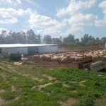 εικόνα Viber 2024 02 13 10 58 04 793