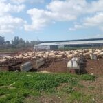 εικόνα Viber 2024 02 13 10 58 30 398