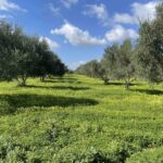 εικόνα Viber 2024 02 13 11 01 23 753