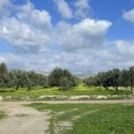 εικόνα Viber 2024 02 13 11 01 24 490