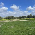 εικόνα Viber 2024 02 13 11 01 24 789