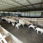 εικόνα Viber 2024 02 13 11 01 27 609