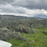 εικόνα Viber 2025 09 12 13 33 07 794