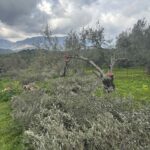 εικόνα Viber 2025 09 12 13 34 00 652