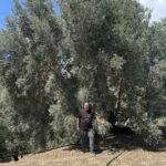 εικόνα Viber 2025 09 12 13 34 01 260