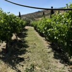 εικόνα Viber 2025 09 12 13 34 01 781