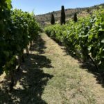 εικόνα Viber 2025 09 12 13 34 02 037