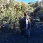 εικόνα Viber 2025 09 12 13 34 03 752