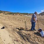 εικόνα Viber 2025 09 12 13 34 04 343