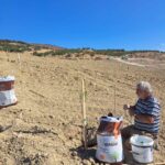 εικόνα Viber 2025 09 12 13 34 05 414