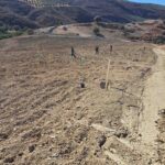 εικόνα Viber 2025 09 12 13 34 05 693