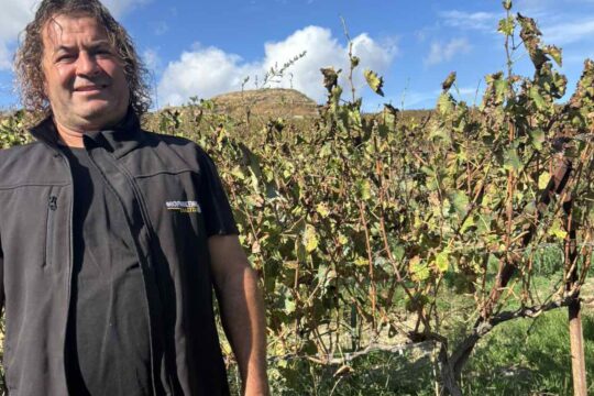 εικόνα Viber 2025 10 23 11 56 57 169