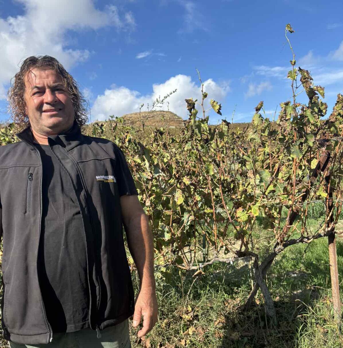 εικόνα Viber 2025 10 23 11 56 57 169