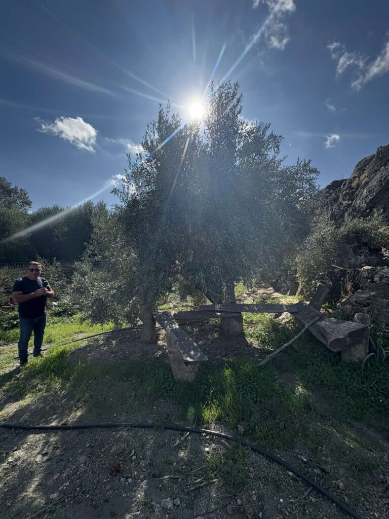 εικόνα Viber 2025 10 23 13 21 17 769