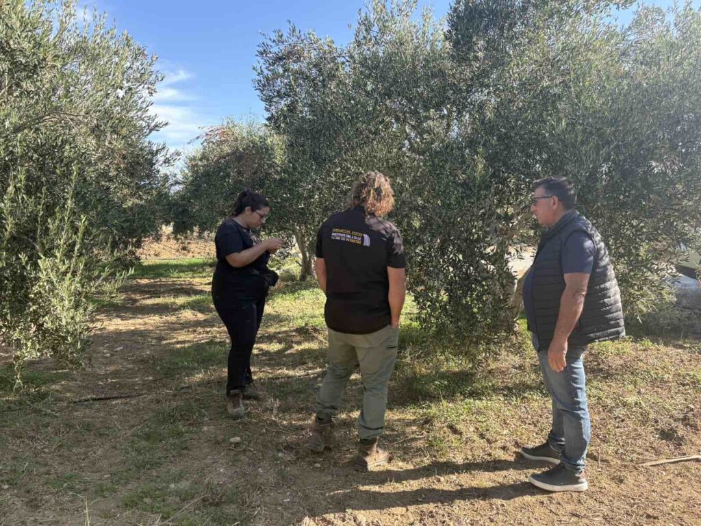 εικόνα Viber 2025 10 23 13 21 19 517