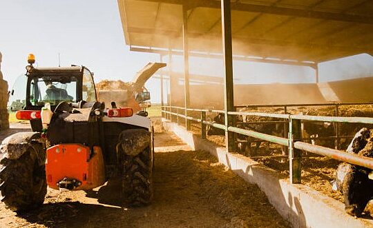 Istockphoto 2261041295 612x612