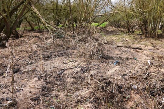 112c806a D0d2 4900 A1a6 48a268524e50