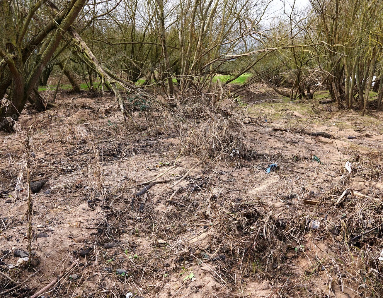 112c806a D0d2 4900 A1a6 48a268524e50